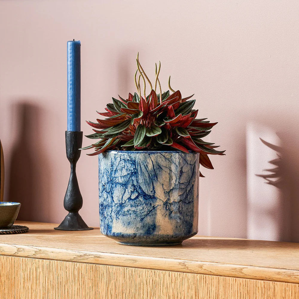 ross plant pots Ross – NiuPlants